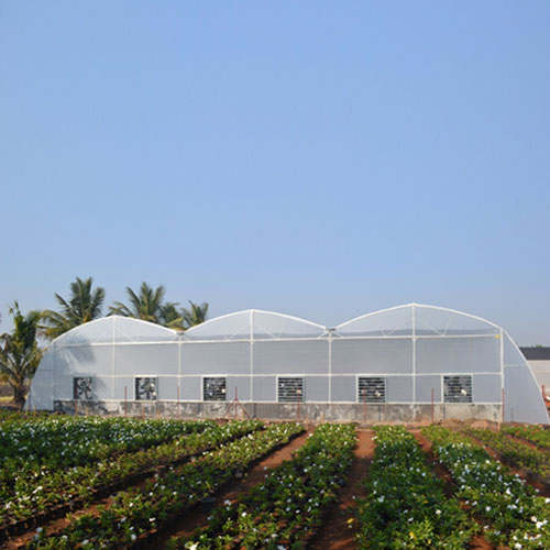 Climate Control Green House