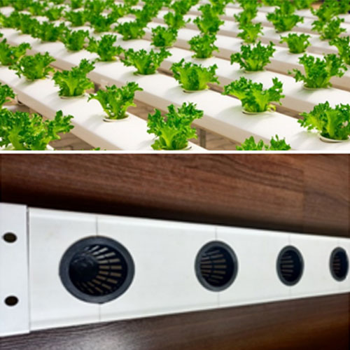 Hydroponic NFT Systems