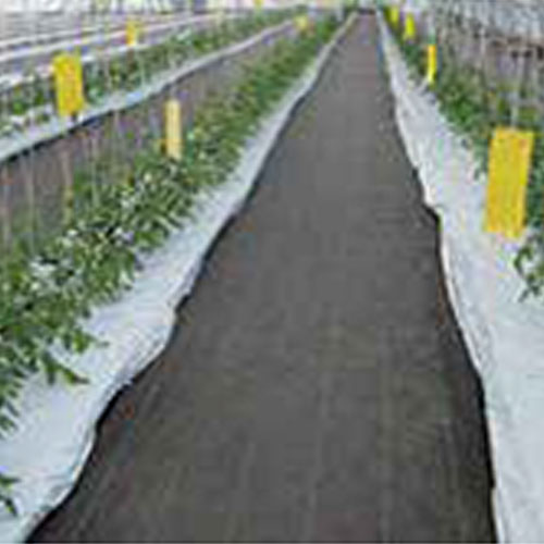 Plant Support Trellising Systems